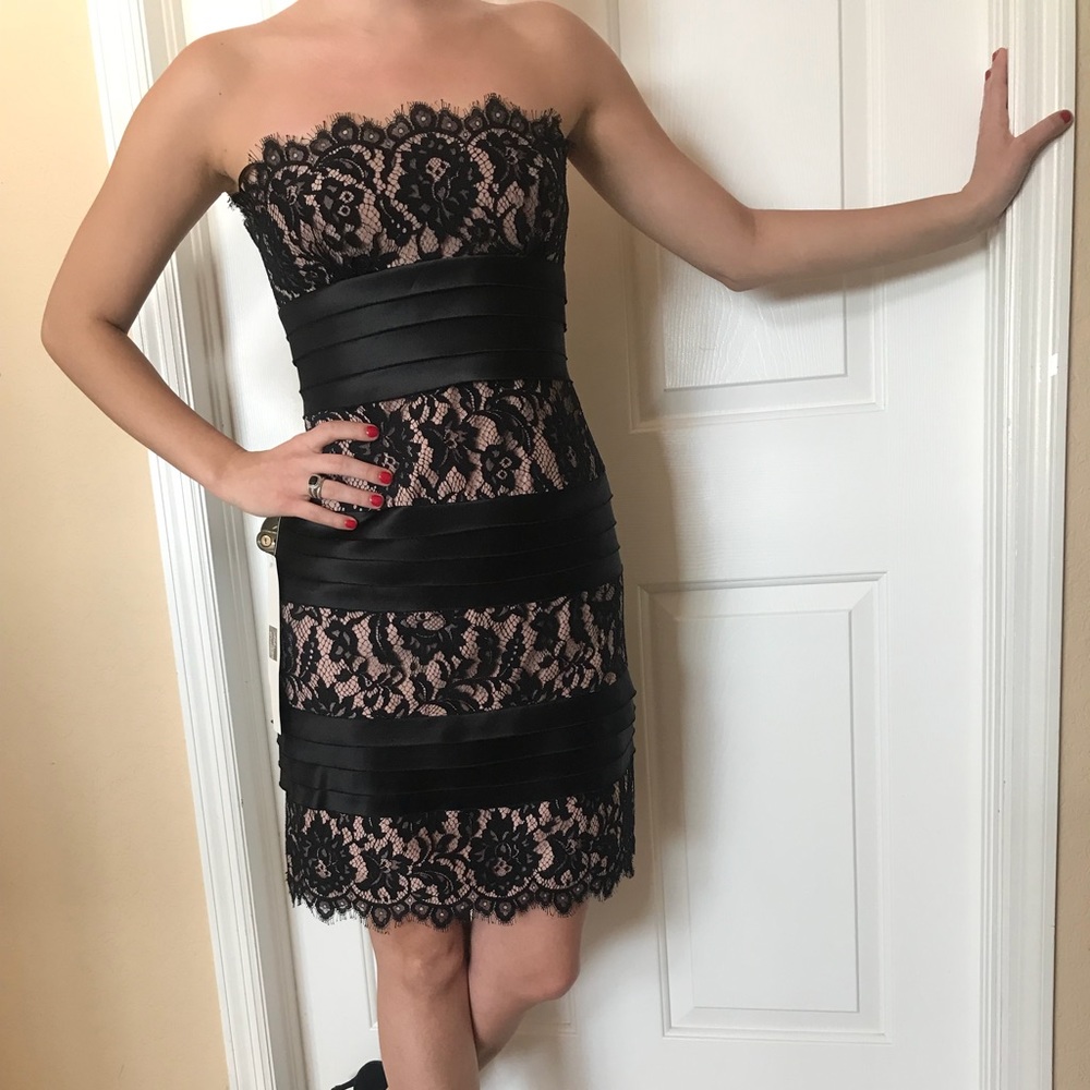 NWT BCBG MAXARIA lace and satin dress